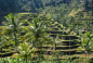 Chariots Of The Gods - Vacation Tour 2021 Java & Bali