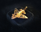 Chariots Of The Gods - Pin 